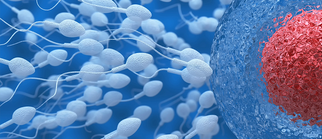 fecondation in vitro tunisie